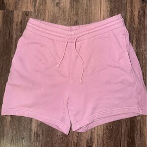 Purple Aritzia TNA Boyfriend Shorts